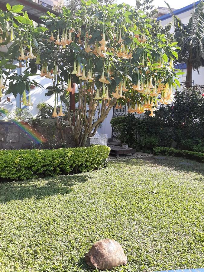 Figtree Guesthouse Maputo Exterior foto